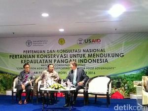 Ini Jurus FAO dan Kementan Bikin Produksi Jagung NTB dan NTT Naik 2 Kali Lipat