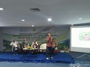 Pakai Sistem Ini, Produksi Petani Jagung di Lombok Naik Jadi 5,6 Ton/Hektar
