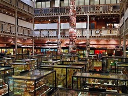 Museum di Inggris Ini Simpan Artefak Hingga Kepala Manusia