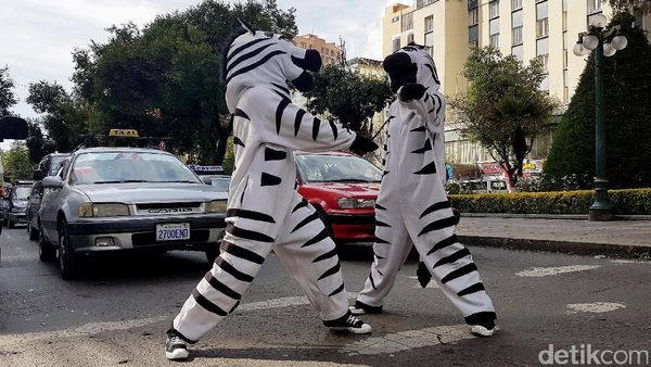 Unik, Zebra Cross di Bolivia Menyapa Pengendara