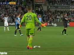 Kisah Seorang Kiper dan Seekor Burung Camar di Pertandingan Final