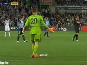 Kisah Seorang Kiper dan Seekor Burung Camar di Pertandingan Final Kisah Seorang Kiper dan Seekor Burung Camar di Pertandingan Final