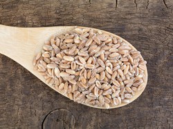 Susu Unta dan Yogurt Sayuran akan Digemari Tahun Depan