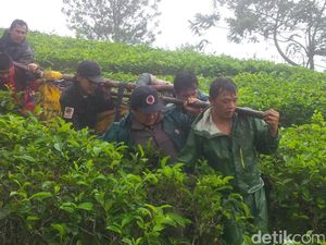 Binus Tegaskan 17 Mahasiswa yang Tersesat di Gunung Gede Bukan Ikuti Ospek