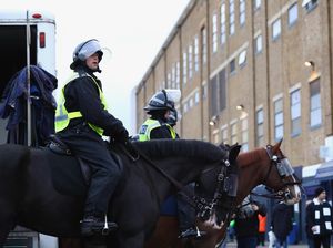 Lempar Hamburger ke Kuda Polisi, Seorang Fans Ditangkap