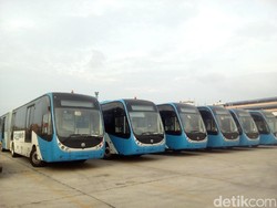 Begini Penampakan 23 Bus Zhongtong yang Parkir di Tanjung Priok
