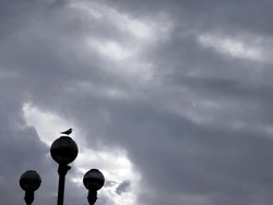 Ngeri Pesawat Jatuh ke Jalan Raya Florida AS, 3 Orang Tewas