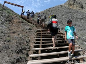 Tangga Kayu yang Mudahkan Traveler ke Puncak Pulau Padar