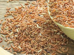 12 Sumber Karbohidrat Tinggi yang Menyehatkan