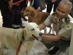 Dua Anjing SAR Alfa dan Delta Diterjunkan ke Aceh Cari Korban Gempa