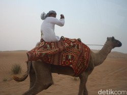 Serasa Orang Timur Tengah, Naik Unta di Gurun Pasir