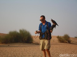Lihatlah Pertunjukan Elang Berburu di Dubai