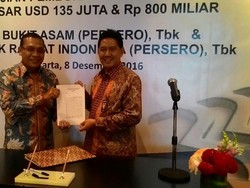 BRI Kucurkan Kredit Rp 2,5 Triliun ke Bukit Asam
