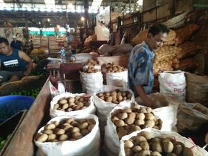 Kementan Bantah Harga Kentang Jatuh Karena Serbuan Impor Kementan Bantah Harga Kentang Jatuh Karena Serbuan Impor