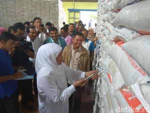 Mensos Pastikan Stok Beras untuk Korban Gempa Aceh Cukup dan Layak Konsumsi Mensos Pastikan Stok Beras untuk Korban Gempa Aceh Cukup dan Layak Konsumsi