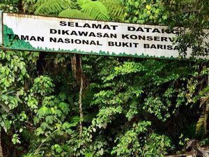 Wisata Rhino Camp di Lampung: Daya tarik, Lokasi, Tiket Masuk dan Fasilitas