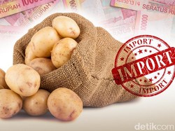 Kementan Nilai Angka Impor Kentang Kecil, Optimistis RI Bisa Ekspor