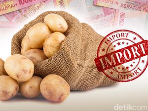 Impor Akan Terus Merajalela Selama Harga Kentang Lokal Mahal Impor Akan Terus Merajalela Selama Harga Kentang Lokal Mahal