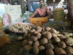 Kentang Impor Jenis Atlantis Dipakai Industri, Kenapa Tak Ditanam di RI?