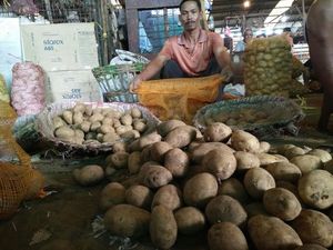 Harga Kentang Merangkak Naik Jadi Rp 18.000/Kg Harga Kentang Merangkak Naik Jadi Rp 18.000/Kg