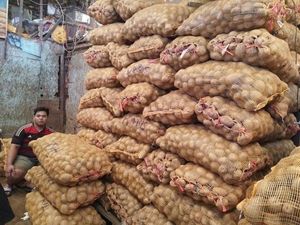 RI Punya Lahan Luas Tapi Puluhan Tahun Impor Kentang, Apa Sebabnya? RI Punya Lahan Luas Tapi Puluhan Tahun Impor Kentang, Apa Sebabnya?