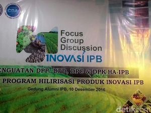 Padi Buatan IPB Ini Produktif, Hemat Air, dan Tahan Banting Padi Buatan IPB Ini Produktif, Hemat Air, dan Tahan Banting