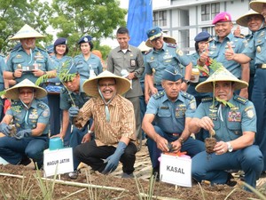 Takaran Konsumsi Gula dan Garam yang Pas Buat Tubuh