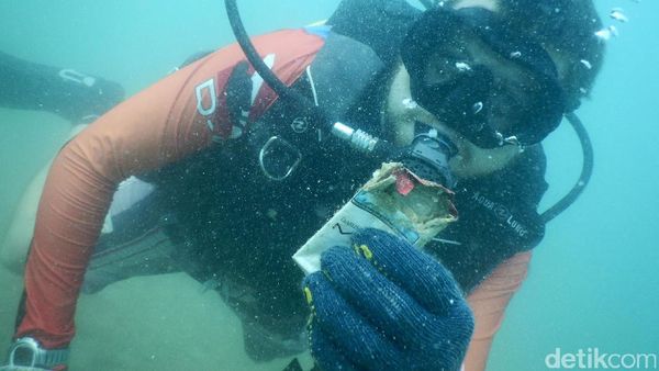 Penyelam Bersih-bersih Sampah di Dasar Laut Labuan Bajo