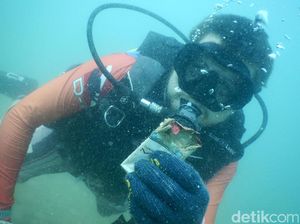 Penyelam Bersih-bersih Sampah di Dasar Laut Labuan Bajo