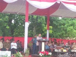 Kunjungan ke Sulawesi Barat, JK: Cokelat yang Baik di Dunia dari Daerah Ini