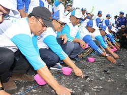 Pemkab Banyuwangi dan Pertamina Kompak Bersih-bersih Pantai Grand Watu Dodol