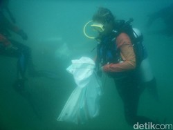 Puluhan Penyelam Bersih-bersih Bawah Laut Sekitar Labuan Bajo