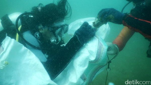 Penyelam Bersihkan Ratusan Kg Sampah dari Bawah Laut Labuan Bajo