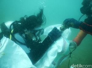 Penyelam Bersihkan Ratusan Kg Sampah dari Bawah Laut Labuan Bajo