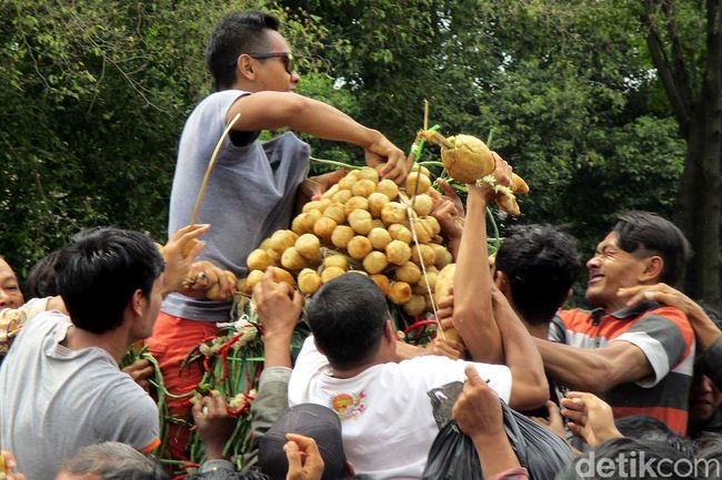Rayahan Gunungan Maulud Keraton Yogyakarta Rayahan Gunungan Maulud Keraton Yogyakarta