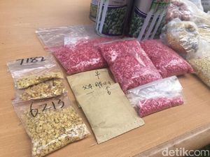 WN China Tanam Benih Cabai Berbakteri di Bogor, Ini Bahayanya Jika Menyebar