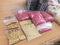 WN China Tanam Benih Cabai Berbakteri di Bogor, Ini Bahayanya Jika Menyebar