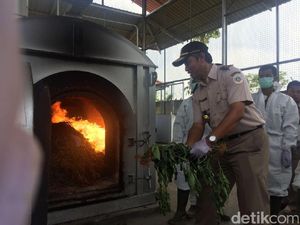 Dari Mana Asal Benih Cabai Berbakteri yang Ditanam WN China di Bogor?