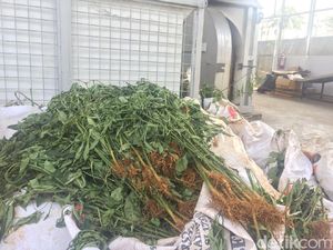 Izin Ekspor Produk Pertanian Dipangkas Jadi 3 Jam