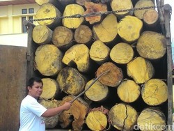 Sempat Dihadang Massa, Polres Kampar Amankan Truk Bermuatan Kayu Ilegal