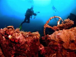 Indonesia Raih The Outstanding Liveabroad Diving Destination