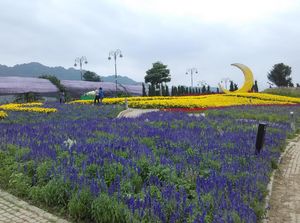 The Bloom, Sisi Lain Thailand yang Cantik di Khao Yai
