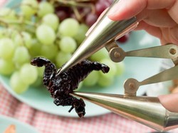 Diprediksi Bakal Jadi Makanan Masa Depan, Perusahaan Ini Desain Alat untuk Makan Serangga