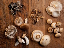 Rutin Konsumsi Jamur Ternyata Bisa Turunkan Kolesterol dan Kuatkan Tulang