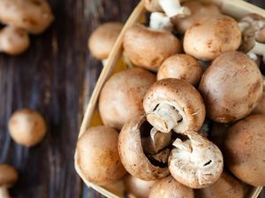 Kalau Mau Langsing, Tambahkan Jamur Dalam Menu Sarapan