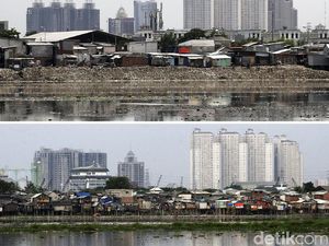 Potret Kondisi Waduk Pluit dari Zaman Jokowi hingga Anies Potret Kondisi Waduk Pluit dari Zaman Jokowi hingga Anies