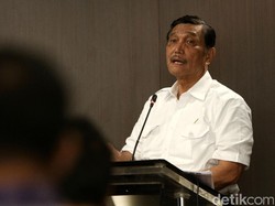 Soal Tenaga Kerja China di RI, Luhut: Sudah Sejak Zaman Dinosaurus