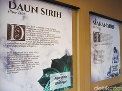 Hai Ladies, Ini Wisata Kecantikan yang Baru di Bali