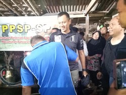Saat Agus Yudhoyono Diajak Memerah Susu Sapi di Peternakan
