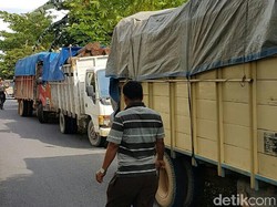 Polda Riau Tangkap 6 Truk Muatan Kayu Ilegal